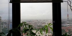 Bayshore Road (D16), Condominium #579699801